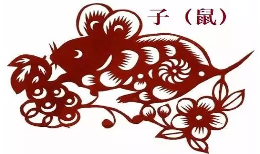 屬鼠的哪幾個屬相比較和：屬鼠的和什麼屬相最合適