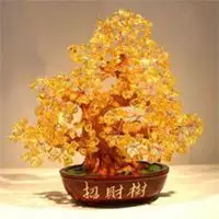 2、招財可愛頭像圖片:我要幾張可愛的頭像圖片