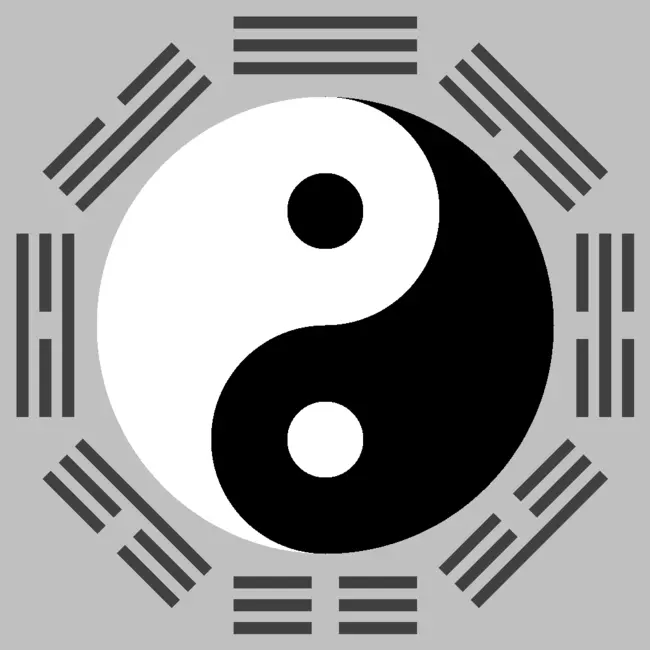 4、怎麼樣看自己八字硬不硬:怎麼看自己八字軟硬