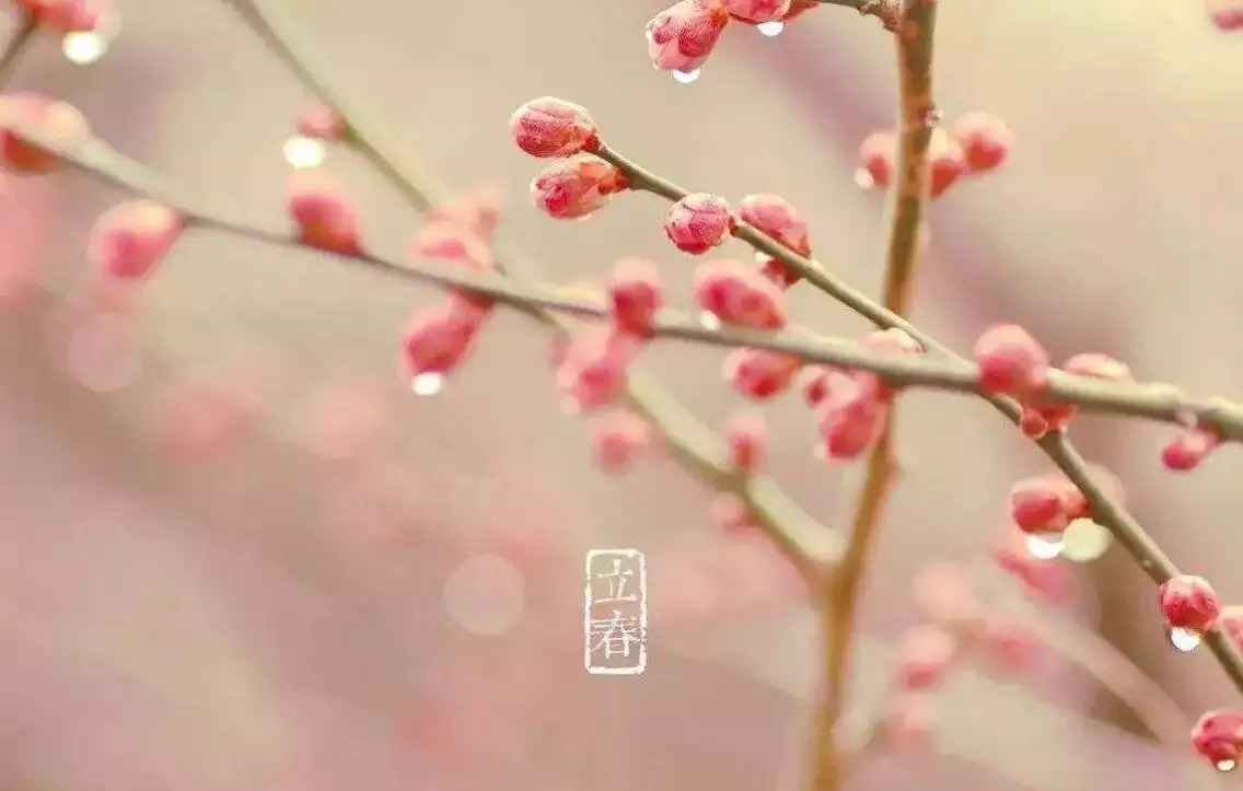 年打春什麼屬相不能見：立春禁忌什麼屬相