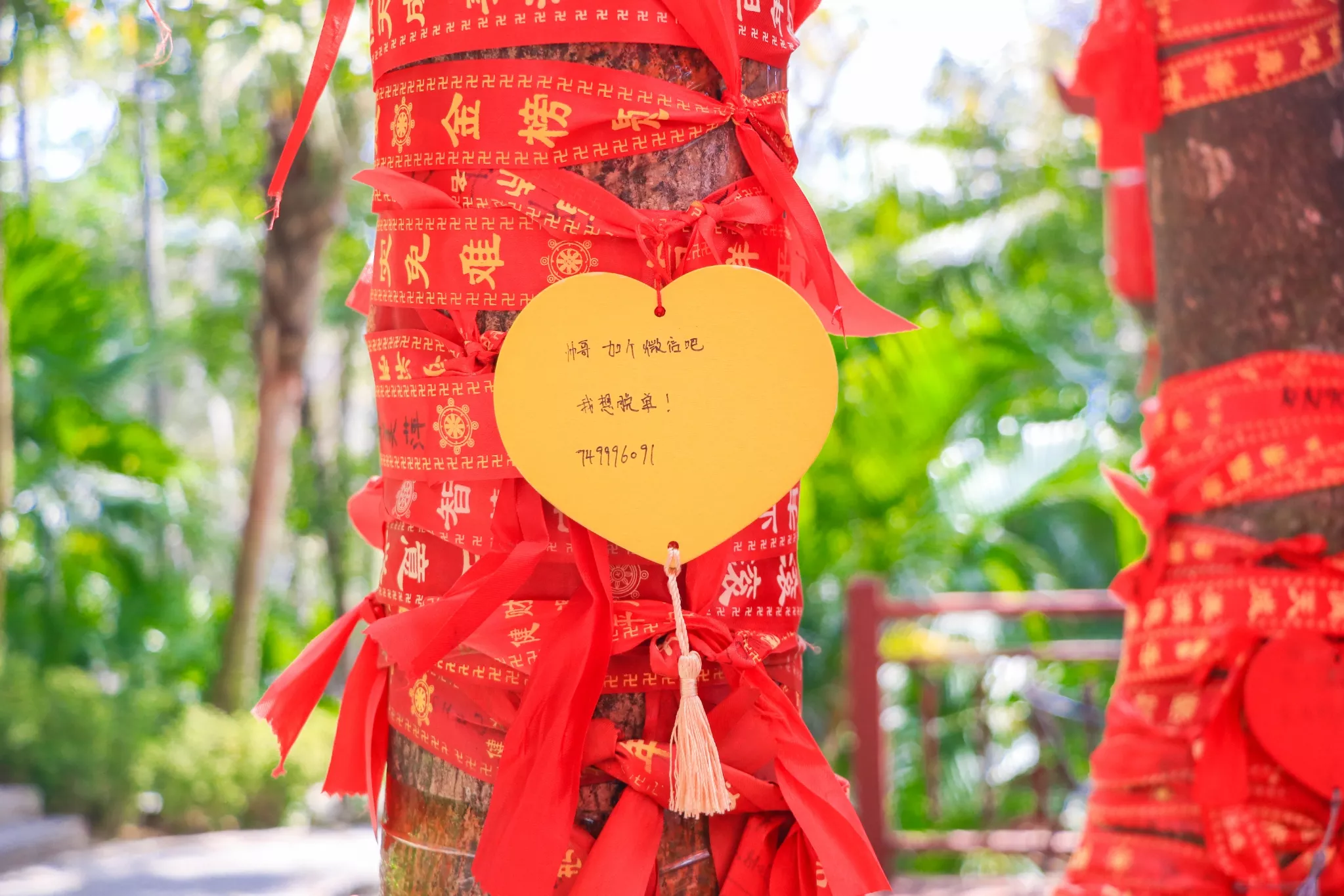 4、婚姻樹免費測試:婚姻樹測試婚姻穩定係數才40怎麼辦
