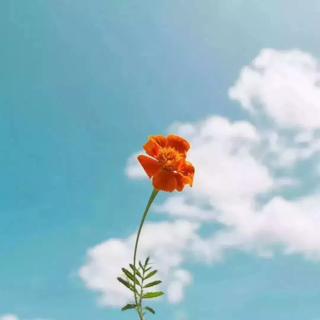 5、一定是特別的緣分圖片大全:“一定是特別的緣分，才讓我們變成了一家人”是什麼歌