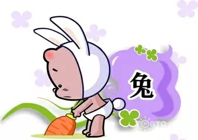 2、農曆正月兔和農曆八月兔婚配好嗎:農曆八月羊和農曆正月兔婚配