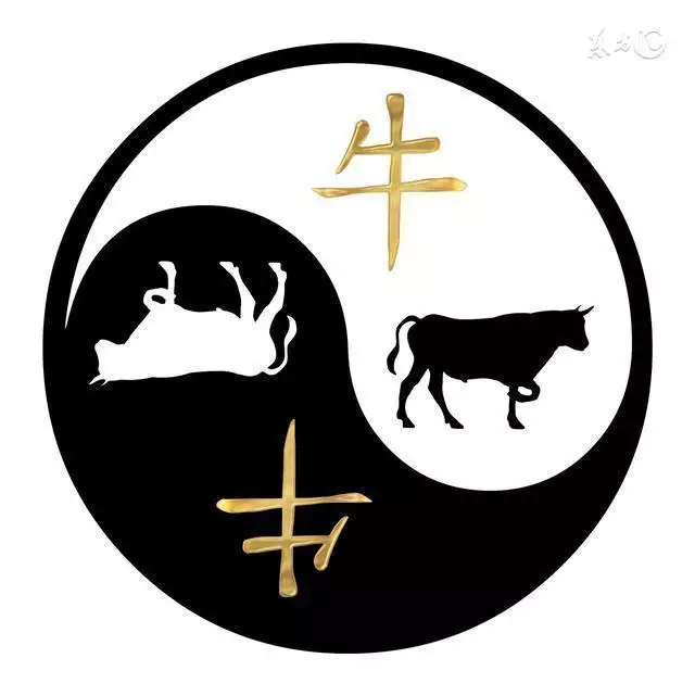 2、屬牛的幾點出生最命苦:屬牛的幾點出生好