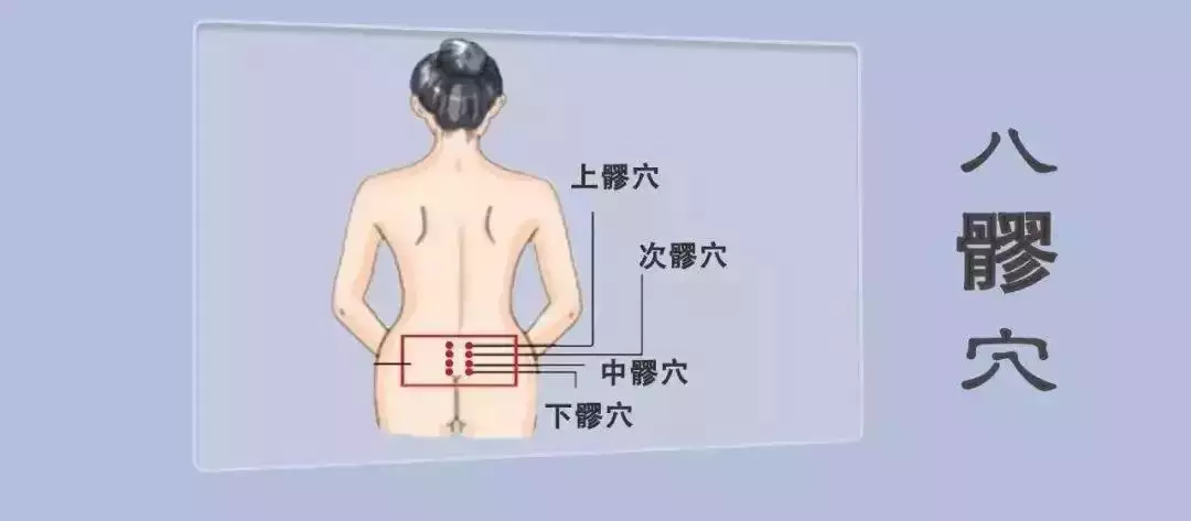 一八三四來相見是什麼屬相：《一來四來》是什麼屬相呢？