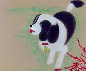 屬狗的女人為什麼那麼壞：屬狗的女人有什有什麼缺點？