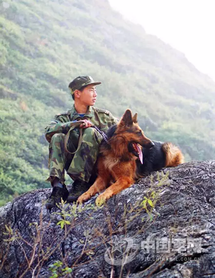 身先士兵不畏懼什麼屬相：不旋踵無畏懼，身先士卒作表率打一個生肖》答案已奉上