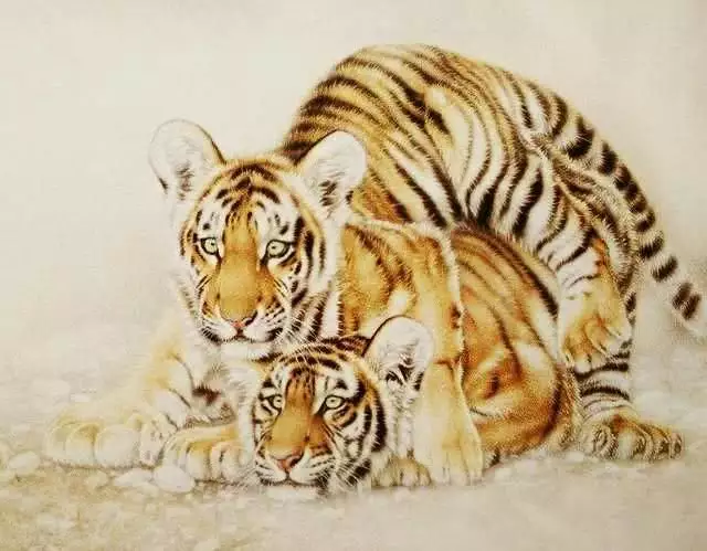 自作掩飾的動物是哪個屬相：12生肖哪個屬相最好？