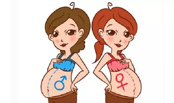 懷和懷女寶肚型圖是什麼樣子的啊？知道的朋友告訴我下吧，謝謝。