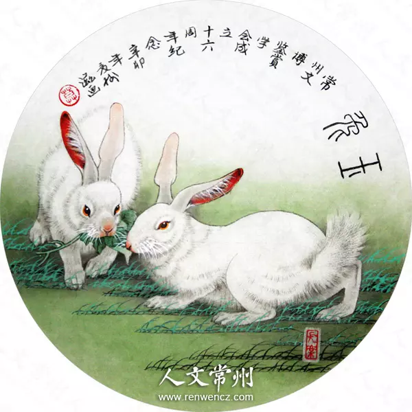 兔屬相適合娶親的年份：生肖兔適合和那種生肖娶親