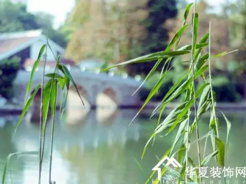 能給女人帶來好運的微信昵稱：什麼微信名能帶來好運？