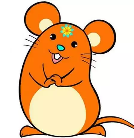 年屬什麼生肖年：年是屬什麼生肖