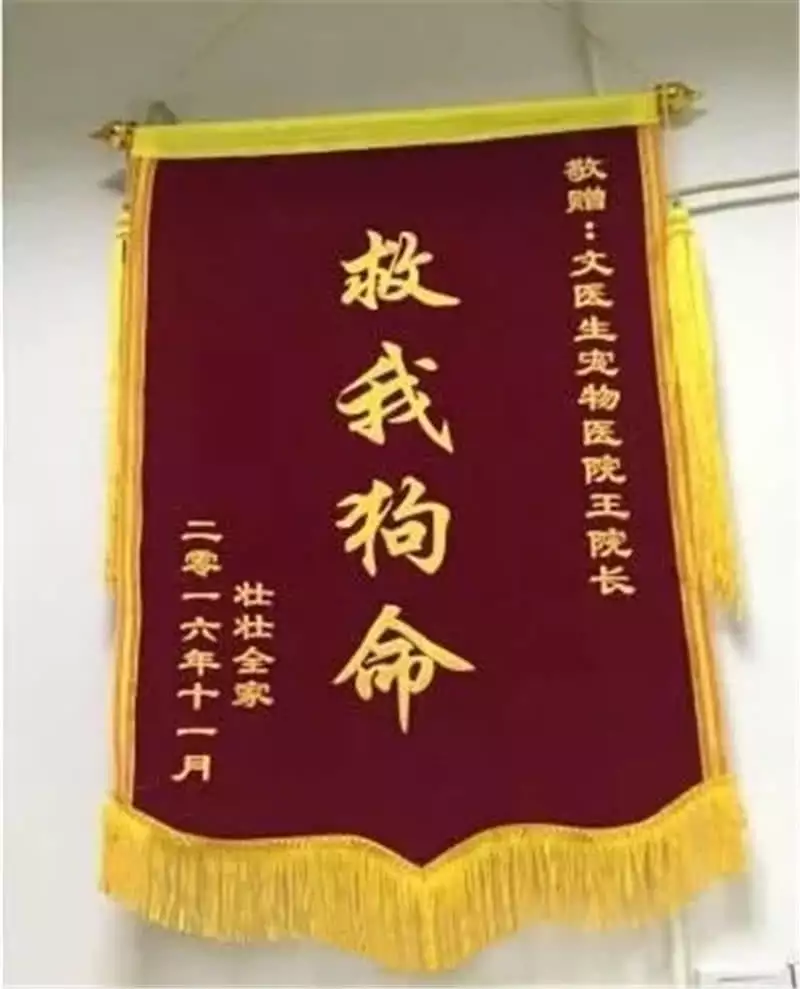 2、幫我算一下命:幫我算一下命運