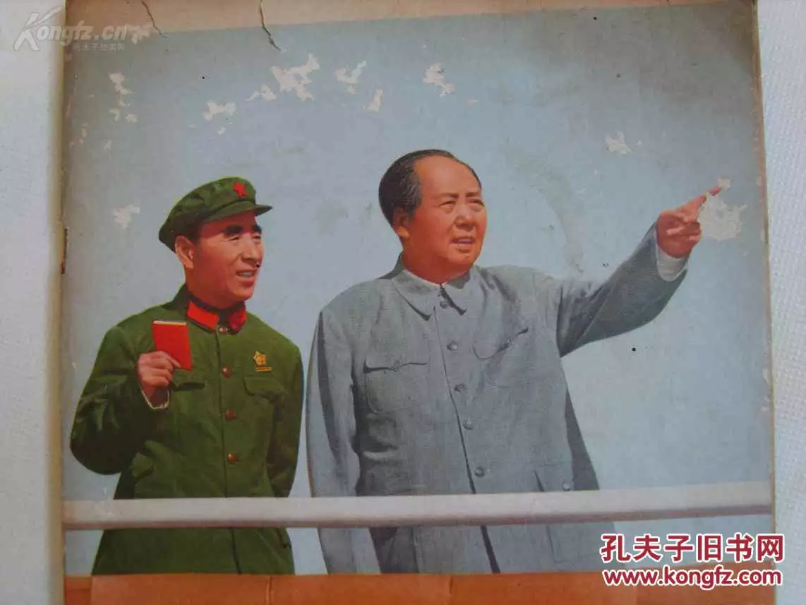 年和年的婚配：年屬豬與什麼屬相相合