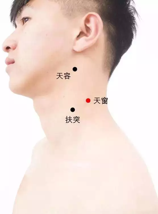 若何在手掌上快速算出小我私人的屬相：盤算屬相的方式是什麼？