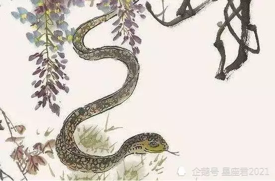 2、年屬蛇一生有二婚:屬蛇今年婚姻如何有幾次婚姻