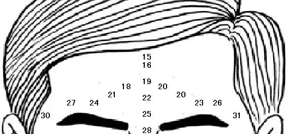 3、麥玲玲生辰八字推命:麥玲玲生晨八字推命本人，女，公曆年2月27日早5點生