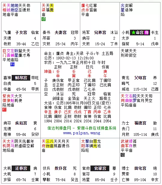 4、個人命盤詳解(免費版):免費斗數命盤詳解