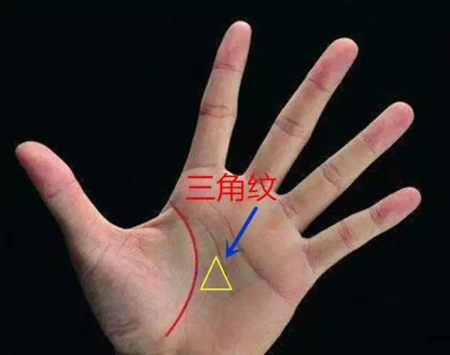 看手相算一生有幾個子女：算命一生有幾個孩子