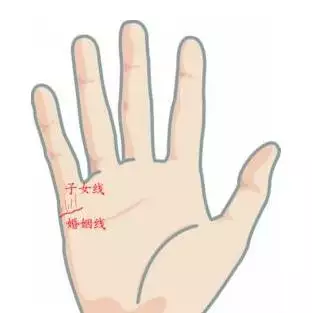 2022年註定兒女雙全的生肖女：註定兒女雙全的生肖女