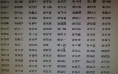 哪些屬相屬金的字有哪些：五行屬金的漢字有哪些。