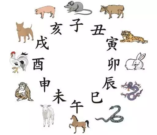 十二屬相運勢每月運程：十二生肖今日運勢