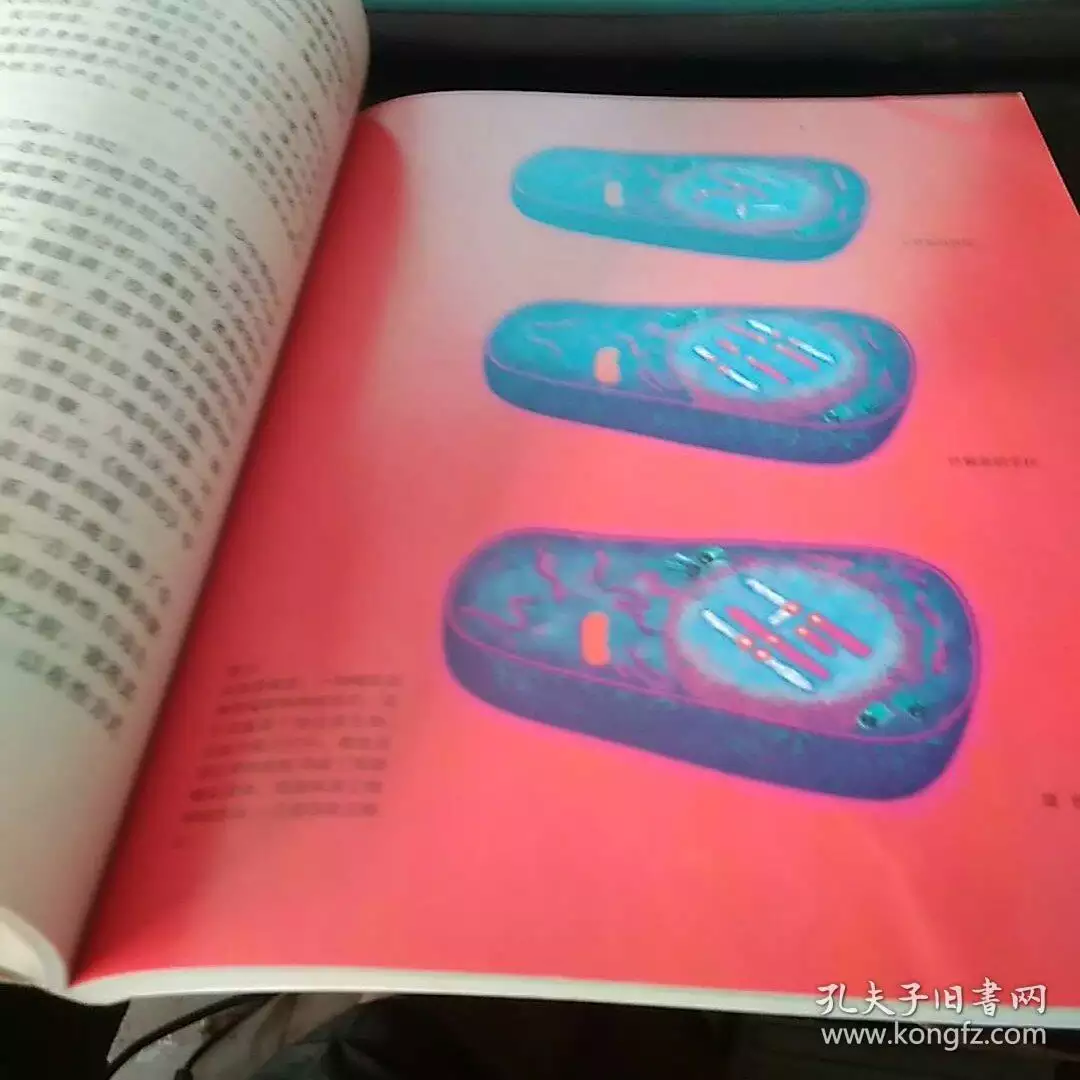 1、我的另一半在哪裡測試:測一下我的另一半會在那所城市出現?