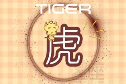2、屬虎的終身幸運色:年屬虎女年全年運勢