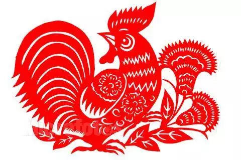 屬雞人生啥屬相孩子好：屬雞的生什麼屬相的孩子好啊