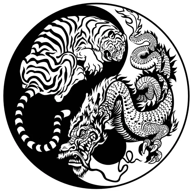 2、男屬虎和女屬龍能婚配嗎:男的屬虎跟女的屬龍的可以不能以合婚！
