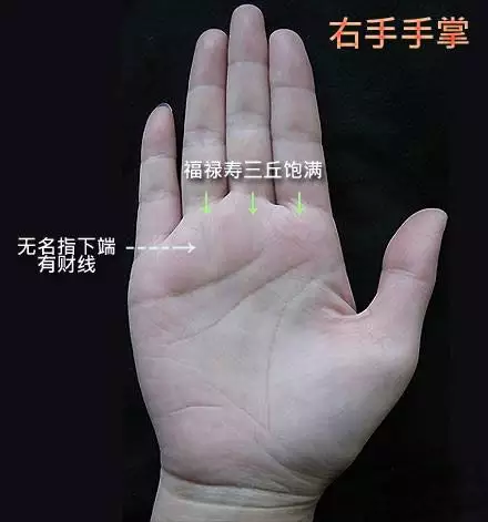 5、掃一掃測手相算命:看手相。