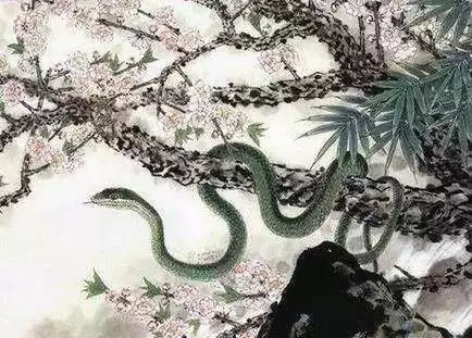 適合做夫妻的男女屬相：夫妻最配什麼屬相的