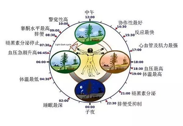 子午流注與屬相的關係：十二生肖對應的方位是什麼？