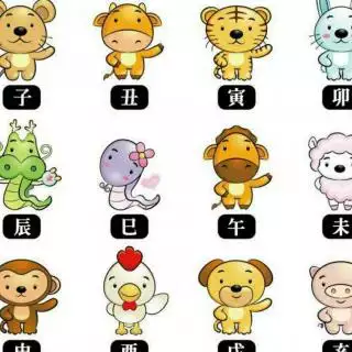 十二生肖哪些屬相最適合生子：十二生肖中，哪個屬相最好呢？