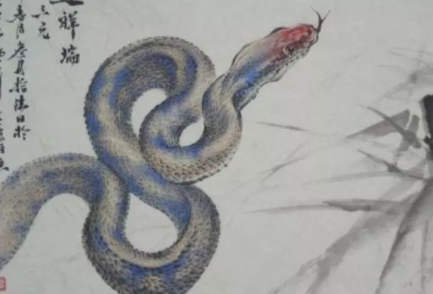 1、屬蛇的人遇到牛年運氣如何呢:屬蛇人馬年運氣如何