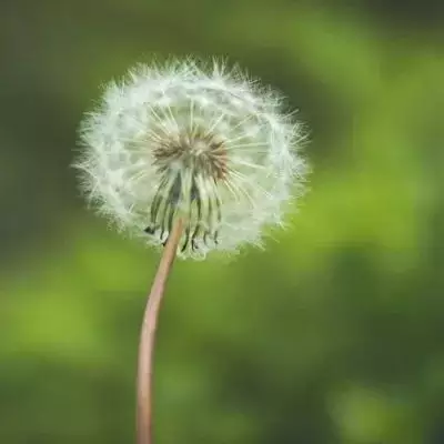 2、能給人帶來好運氣的微信名字:想起一個好聽的微信名稱能帶來好運氣發財的