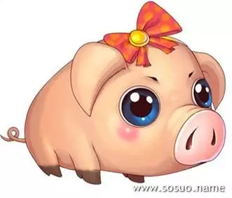 1、屬豬的幾點出生命:年農曆幾月出生的屬兔人命