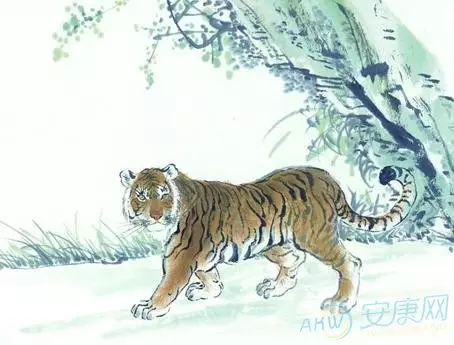 4、年是什麼年屬什麼生肖:年屬什麼生肖的