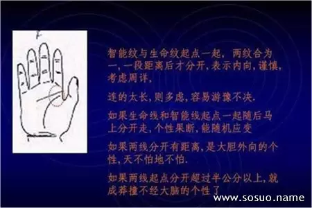 5、滔算命網:滔算命網