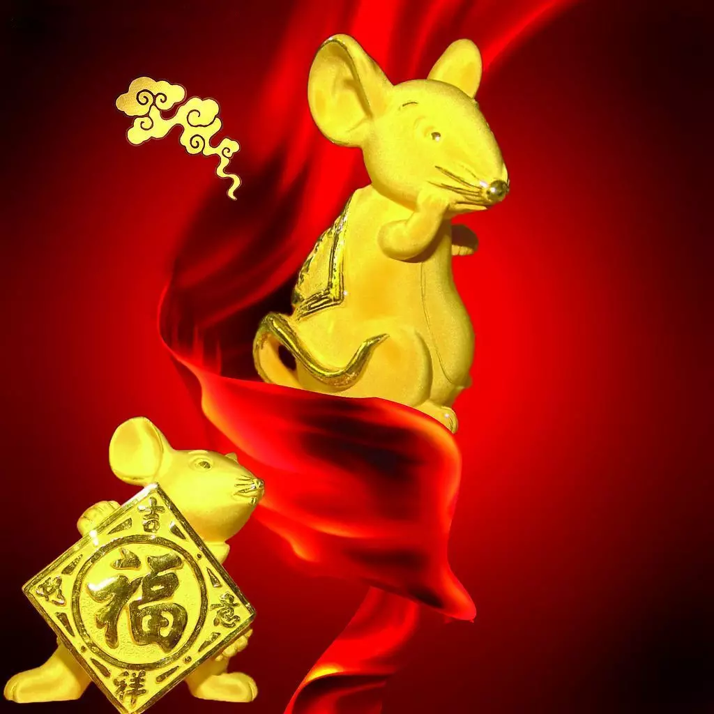 年一月屬鼠的人：年1月19日的鼠命運