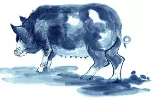 豬男生什麼屬相的寶寶好：請算算，雞男豬女生什麼生肖對雙方都好？