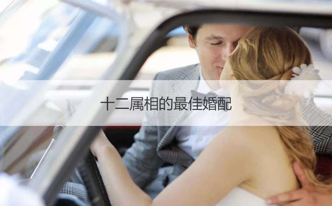 2、12屬相的年齡與婚配圖:十二屬相婚配