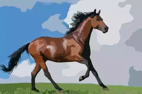 馬爸媽生什麼屬相的寶寶：爸爸馬媽媽羊生什麼屬相孩子好？