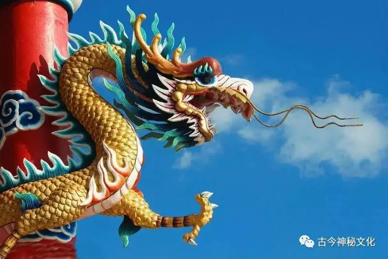 生肖龍女性生什麼屬相寶寶好：屬龍生什麼屬相的寶寶好