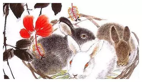 1、屬兔運程:年屬兔的運勢