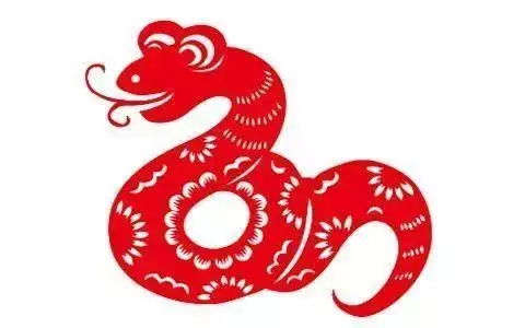 1、屬蛇的今年多大的年齡表:年屬蛇的多少歲