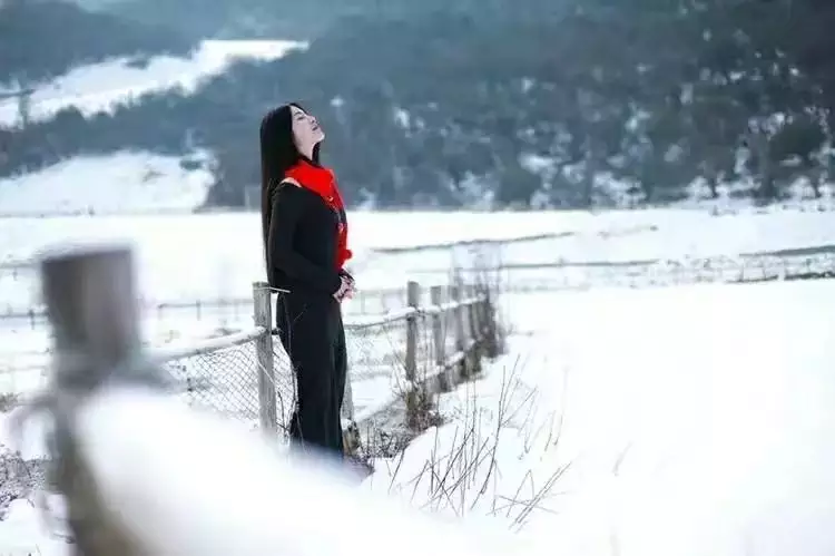 叨教屬相幾月破月是什麼意思：屬豬的幾月破月