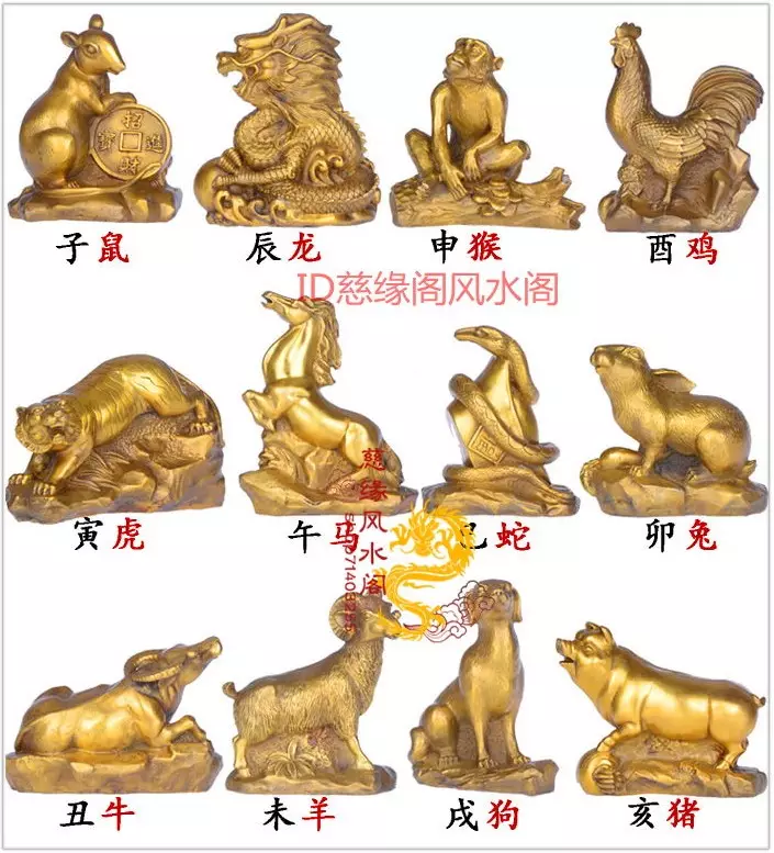 猴子屬相和屬兔的合不合：屬猴屬兔的屬相合不合