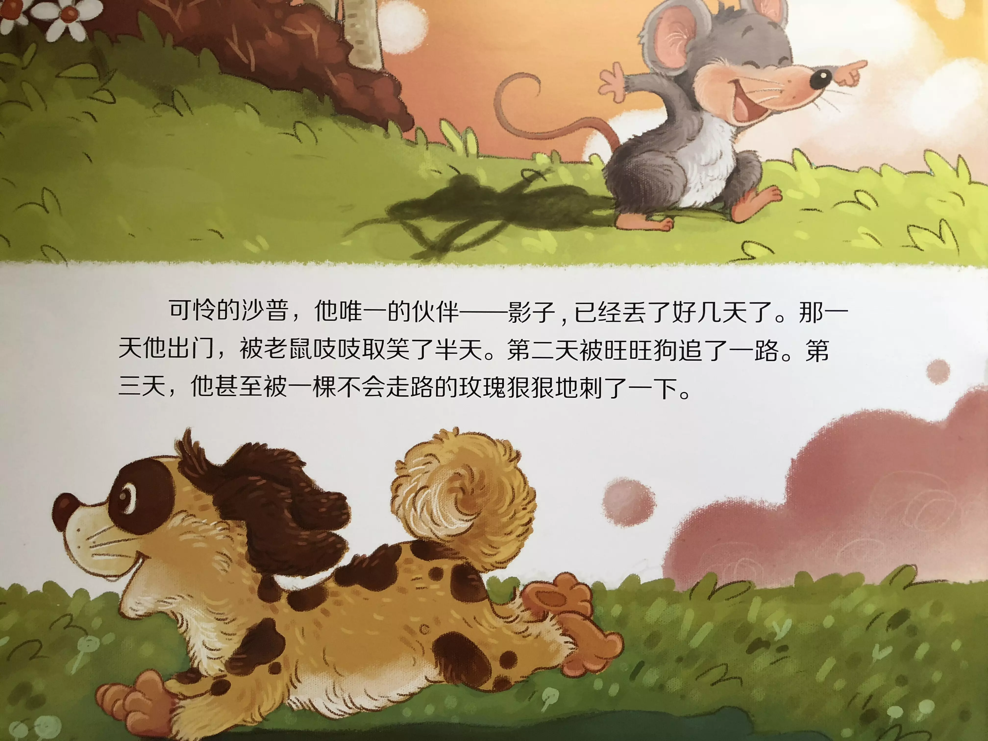 5、伶仃羊的婚配屬相好嗎:屬羊的屬相婚配表，屬羊和什麼屬相最配