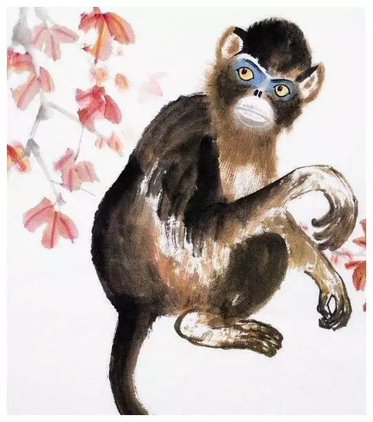 屬猴的人生哪個屬相的子女好